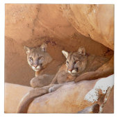 Twee bergen tegeltje (Voorkant)