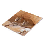 Twee bergen  tegeltje (Zijkant)