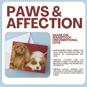 Twee beste vrienden CKCS Ruby en Blenheim Kaart