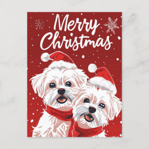 Twee Bichon Frise Vrolijk Kerstfeest Briefkaart