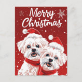 Twee Bichon Frise Vrolijk Kerstfeest Briefkaart (Voorkant)