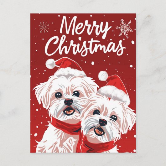 Twee Bichon Frise Vrolijk Kerstfeest Briefkaart (Voorkant)