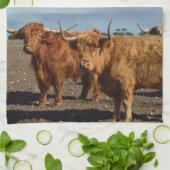 Twee Big Brown Highland Koeien, Dish Towel Theedoek (Gevouwen)
