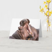 Twee Big Mouth Hippo's Card Kaart (Gele Bloem)