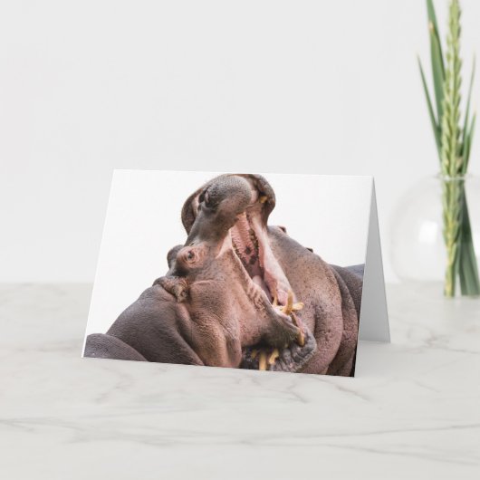 Twee Big Mouth Hippo's Card Kaart (Voorkant)