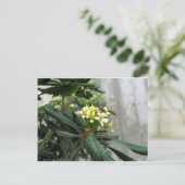 Twee bijen briefkaart (Staand voorkant)