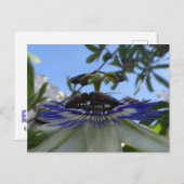 Twee bijen op Passion Flower DIY Briefkaart (Voorkant / Achterkant)