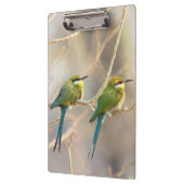 Twee bijeneters klembord (Links)