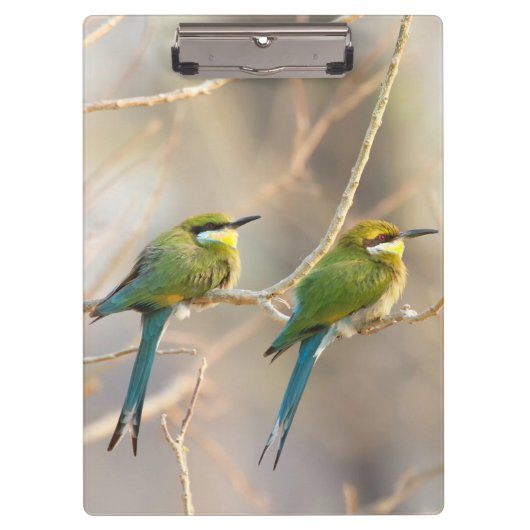Twee bijeneters klembord (Voorkant)