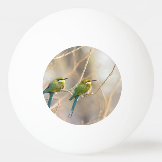 Twee bijeneters pingpongbal (Achterkant)