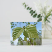 Twee Birch Leav Briefkaart (Staand voorkant)
