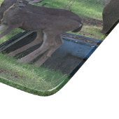 Twee Blacktail Deer Glass Cutting Board Snijplank (Hoek)