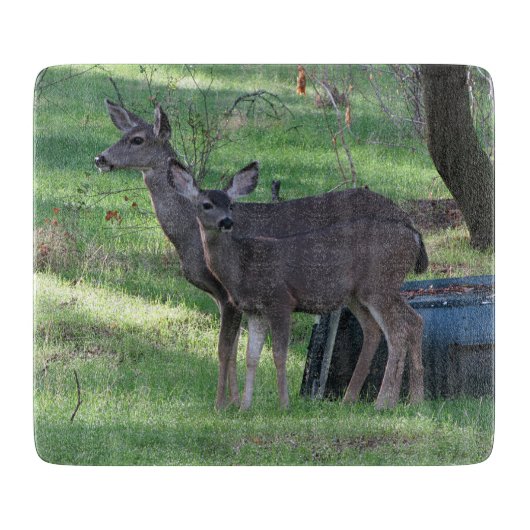 Twee Blacktail Deer Glass Cutting Board Snijplank (Voorkant)