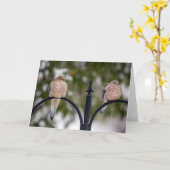 Twee bladbriefkaarten met dop kaart (Gele Bloem)