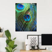 Twee blauw Peacock-veren Poster (Thuiskantoor)