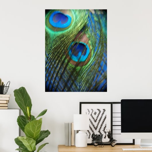 Twee blauw Peacock-veren Poster (Thuiskantoor)