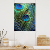 Twee blauw Peacock-veren Poster (Keuken)