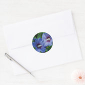 Twee blauwe Hibiscus Flowers op Plant Ronde Sticker (Envelop)