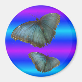 Twee blauwe Morpho Vlinders Blauwe Neon Magnet