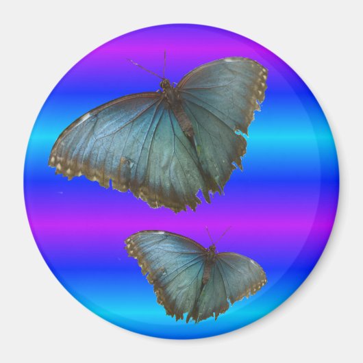 Twee blauwe Morpho Vlinders Blauwe Neon Magnet (Voorkant)