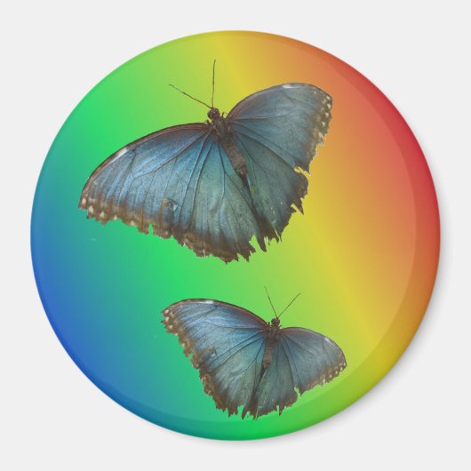Twee blauwe Morpho Vlinders Regenboogmagneet Magneet (Voorkant)