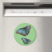 Twee blauwe Morpho vlinders snijden. BG Kleurenmag Magneet (Insitu (Vaatwasser))