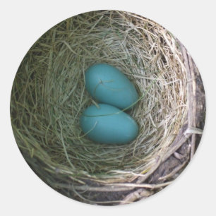 Twee Blauwe Robin's Eieren in Nest Classic Ronde S Sticker