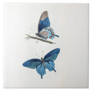Twee blauwe vlinders tegeltje