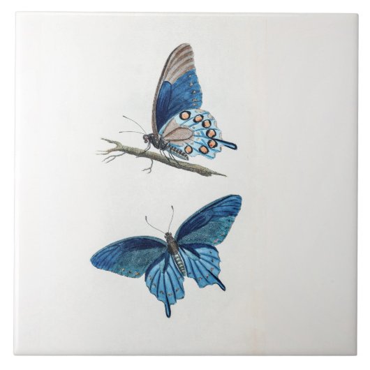 Twee blauwe vlinders tegeltje (Voorkant)