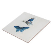 Twee blauwe vlinders tegeltje (Zijkant)