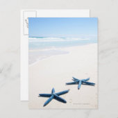 Twee blauwe zeester aan de rand van het water op t briefkaart (Voorkant / Achterkant)