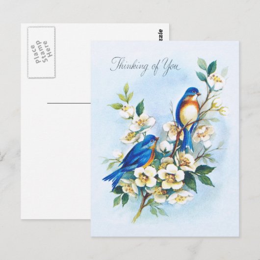 Twee blauwvogels briefkaart (Voorkant / Achterkant)