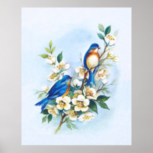 Twee blauwvogels poster