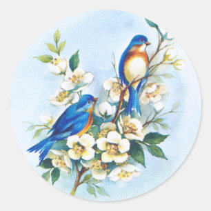 Twee blauwvogels ronde sticker