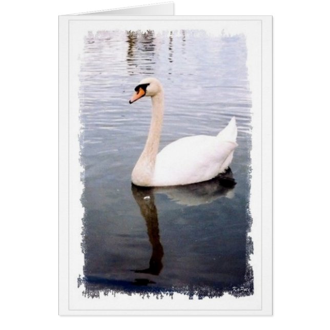 Twee blijvende monsters (Voorkant)