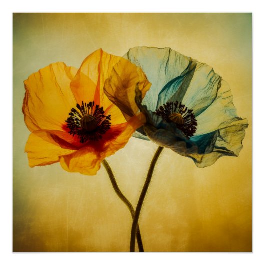 Twee bloemen perfect poster (Voorkant)