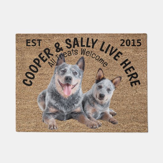 Twee Blue Heelers gepersonaliseerd Hondenliefhebbe Deurmat (Voorkant)