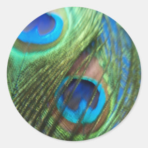 Twee Blue Peacock Feathers Stickers