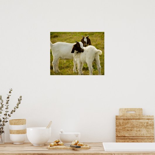 Twee boer Goats Cute Poster (Keuken)