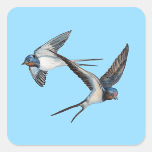 Twee boerenzwaluwen vliegen hoog in de blauwe luch vierkante sticker