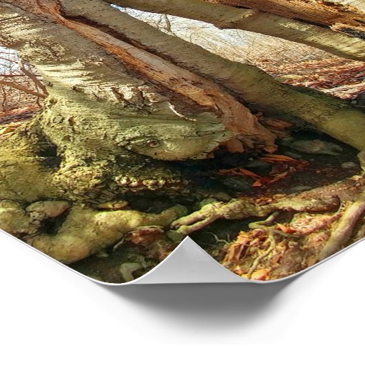 Twee bomen, samen gekweekt poster (Hoek)