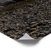 Twee boompunten poster (Hoek)