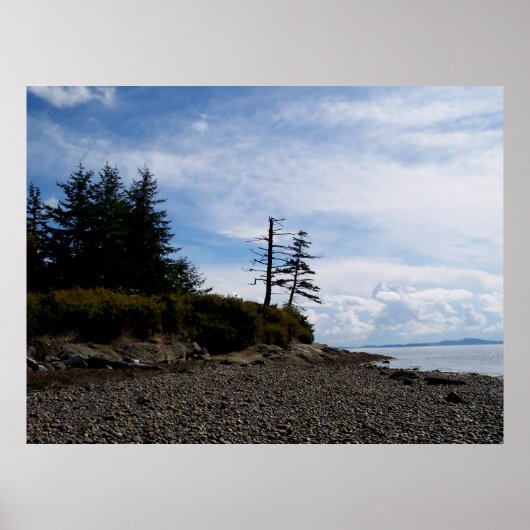 Twee boompunten poster (Voorkant)