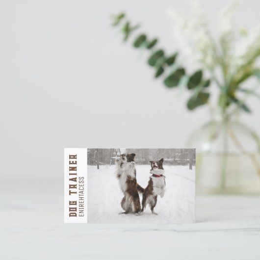 Twee Border Collies Dog Trainer Visitekaartje (Staand voorkant)