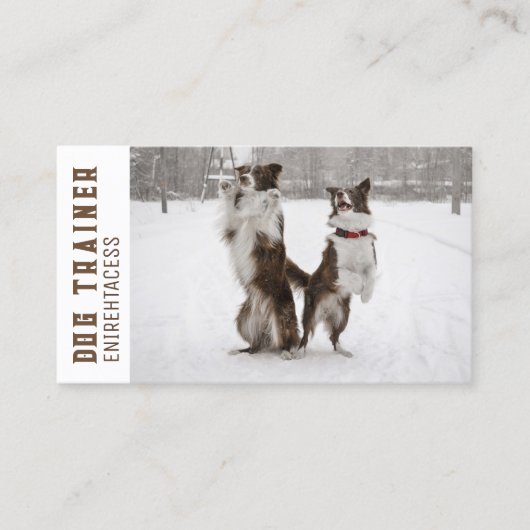 Twee Border Collies Dog Trainer Visitekaartje (Voorkant)