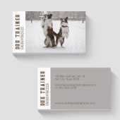 Twee Border Collies Dog Trainer Visitekaartje