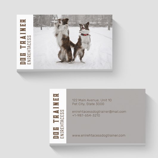 Twee Border Collies Dog Trainer Visitekaartje