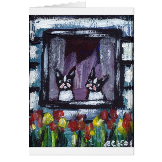 twee bostons in het raam (Voorkant)