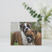 Twee Boxer-honden Briefkaart (Staand voorkant)