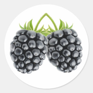 Twee bramen ronde sticker